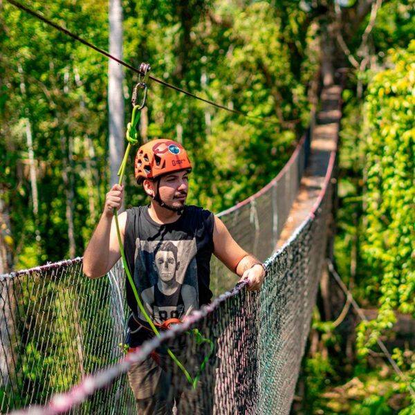 tour-canopy-walkway-3